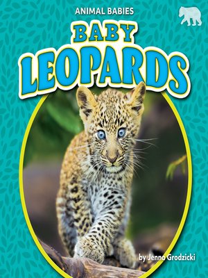 cover image of Baby Leopards
